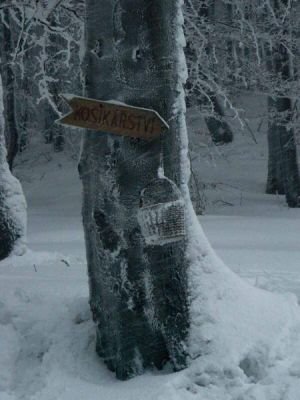 Me na Hloci 2006 - zima