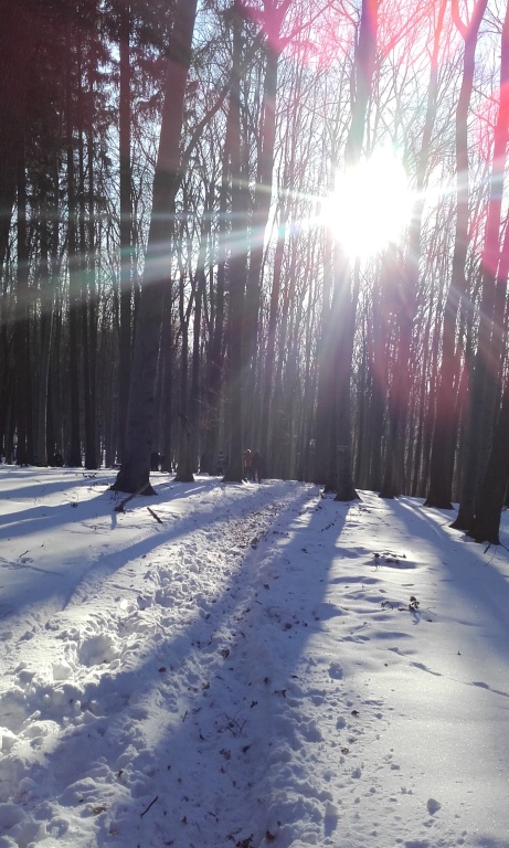 Zimn pou na Hloci 21.01.2017 (I.)