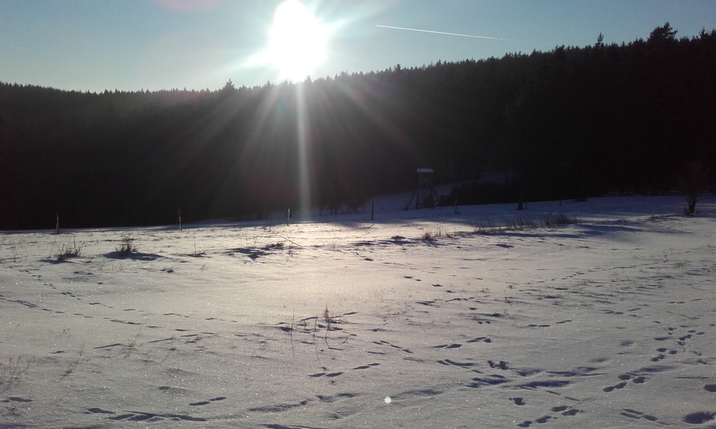Zimn� pou� na Hlo�ci 21.01.2017 (I.)