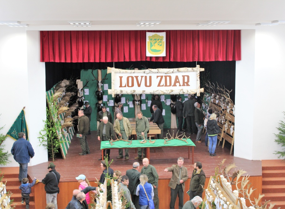 Chovatelsk pehldka - 2. pprava a vstava